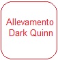 Allevamento Dark Quinn