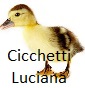 Cicchetti Luciana