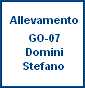 GO-07 Domini Stefano