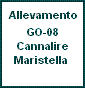 GO-08 Cannalire Maristella