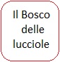 Il Bosco delle lucciole