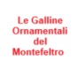 Le Galline Ornamentali del Montefeltro