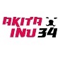 akitainu34