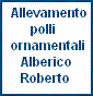 Alberico Roberto