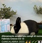 Allevamento Amatoriale Conigli di Razza Fabrizio Crocco CS013