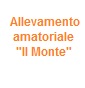 Allevamento amatoriale "Il Monte"