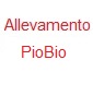 Pio-Bio