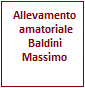 Allevamento amatoriale Baldini Massimo