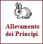 Allevamento dei Principi - Allevamento ariete-nano