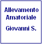 Giovanni S.