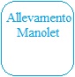 Allevamento Manolet