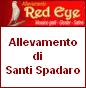 Allevamento "RED EYE" di Santi Spadaro