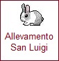 All. San Luigi