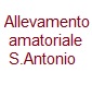 Allevamento amatoriale "S.Antonio"
