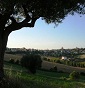 Antica Fattoria di Giovanni Togni - Allevamento ancona