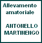 Antonello Martinengo