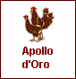 Apollo d'Oro