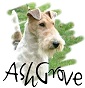 AshGrove Airedale e Wire Fox Terriers