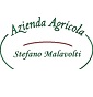 Malavolti Stefano - Allevamento calvana
