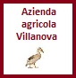 Azienda Agricola Villanova