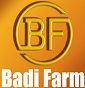 Badi Farm SNC