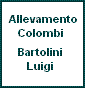 Bartolini Luigi
