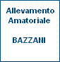Bazzani