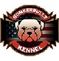 Bomberbulls