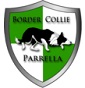 Border Collie Parrella