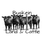 Buskein Land & Cattle