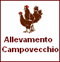 Campovecchio