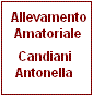 Candiani Antonella