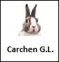 Carchen G.L.