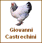 Giovanni Castrechini