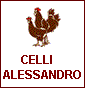 Celli Alessandro - Allevamento canarini