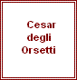 Cesar degli Orsetti