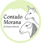 Contado Morana