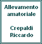 Crepaldi Riccardo