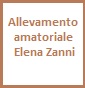 Elena Zanni