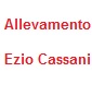 Ezio Cassani
