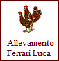 Ferrari Luca