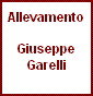 Garelli Giuseppe