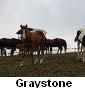 Graystone Ranch