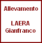 Laera Gianfranco