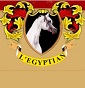 Legyptian Stud - Allevamento arabo