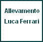 Luca Ferrari