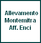 Montemitra