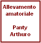 Panty & Arthuro