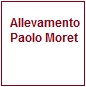 Paolo Moret