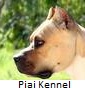 Piai Kennel